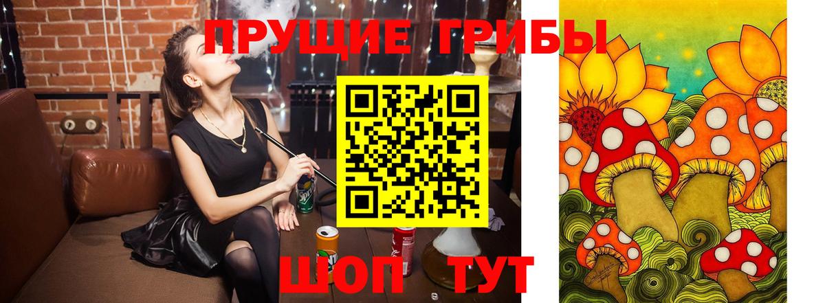 Псилоцибиновые грибы Psilocybine cubensis  даркнет сайт  Тихвин  Вход с VPN 